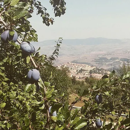 Agriturismo Il Regio Tratturo