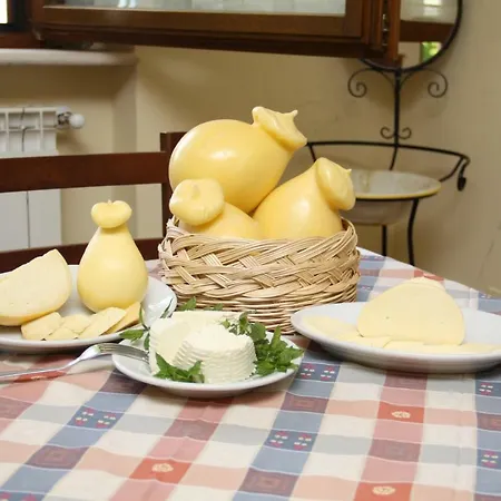 Agriturismo Il Regio Tratturo Farm stay